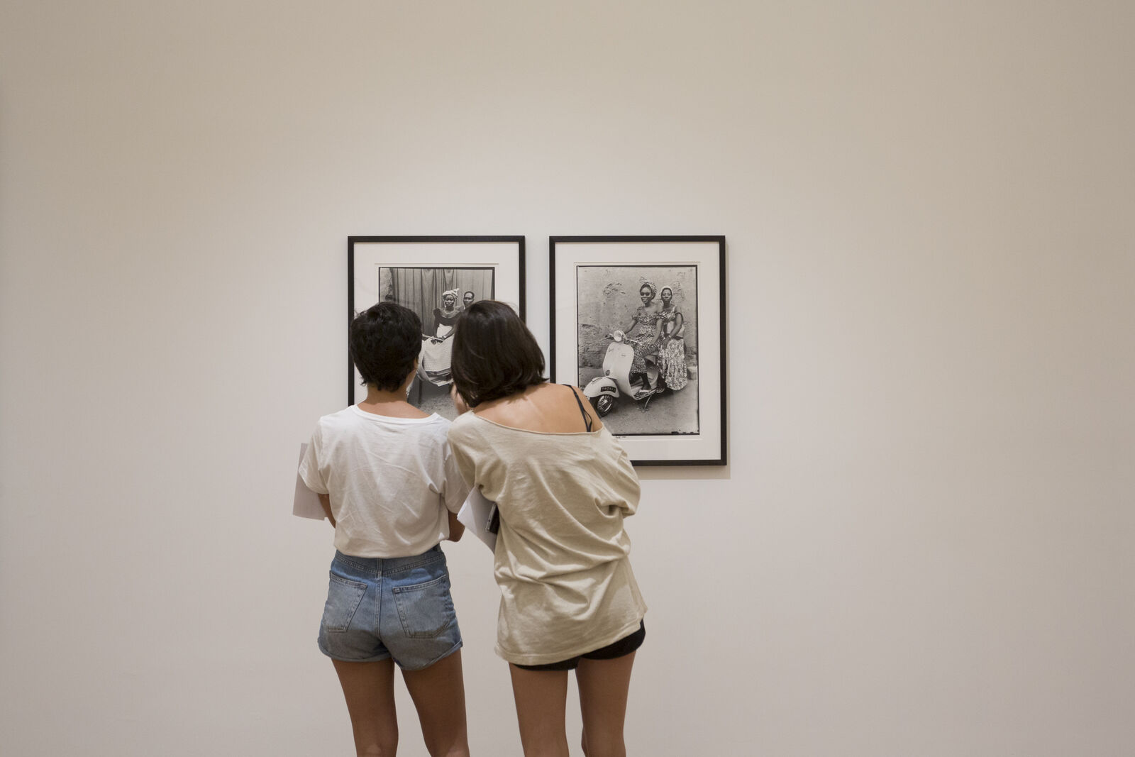 The Museum Diaries